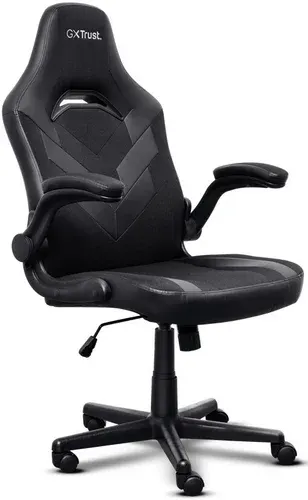 Игровое (геймерское) кресло Trust GXT 703 Riye