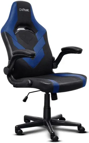 Игровое (геймерское) кресло Trust GXT 703B Riye