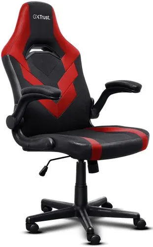 Игровое (геймерское) кресло Trust GXT 703R Riye