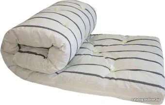 Матрас АЭлита Ватный 65x140 (тик)