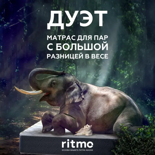 Матрасы «Дуэт» — фото 2