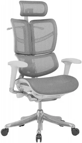 Офисное кресло Ergostyle Fly HFYM01-G (белый)