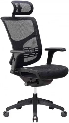 Офисное кресло Ergostyle Vista VSM01 (черный)
