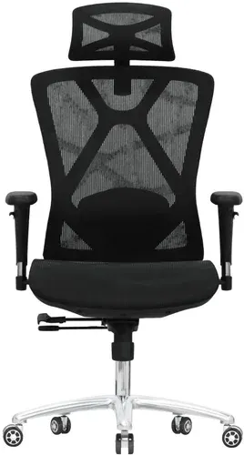 Офисное кресло Evolution Exo F1 Mesh Black (черный)