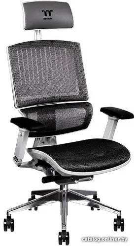 Офисное кресло Thermaltake CyberChair E500 GGC-EG5-BWLFDM-01 (серый)