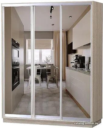 Шкаф-купе Vivat Mebel D3-04 220x60 (дуб сонома)