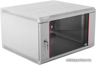 Шкаф распашной ЦМО ШРН-Э-9.650 9U 600x650 мм (серый)