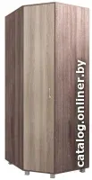Шкаф распашной Комфорт-S Доминик New М4 угловой (ясень шимо светлый/ясень шимо темный)