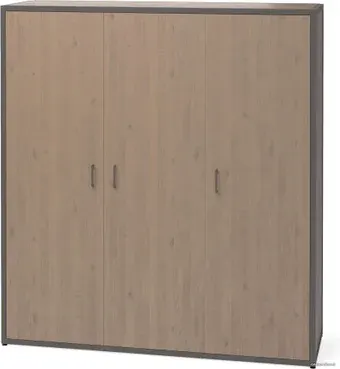 Шкаф распашной Millwood Neo Loft ML-6 (дуб темный металл/черный)