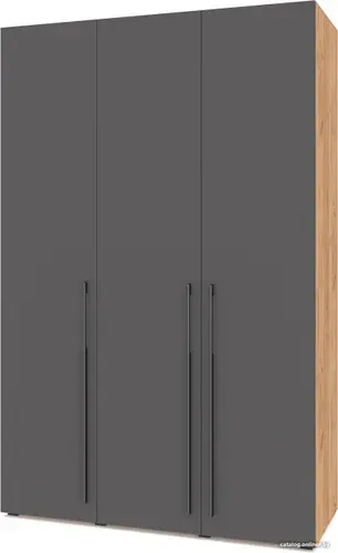 Шкаф распашной Modern Стоун С31 (золотой дуб/графит)