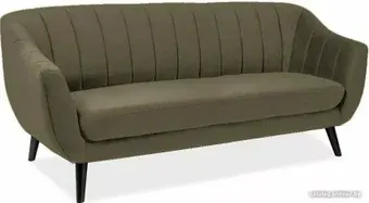 Софа Signal Elite 3 Velvet Bluvel 77 (оливковый/венге)