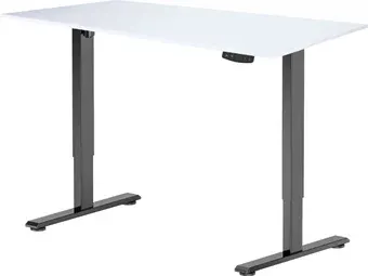 Стол с регулировкой высоты ErgoSmart Electric Desk Light 1200х650х18 мм (альпийский белый/черный)