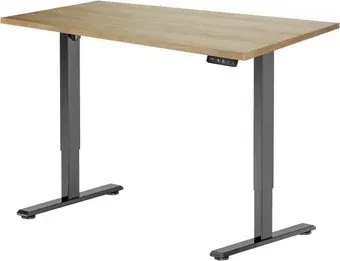 Стол с регулировкой высоты ErgoSmart Electric Desk Prime 1380х800х18 мм (дуб натуральный/черный)