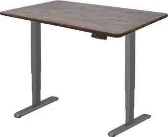 Стол с регулировкой высоты ErgoSmart Wooden Unique Ergo Desk 1200х600х27 мм (прямой край, дуб галифакс/черный)