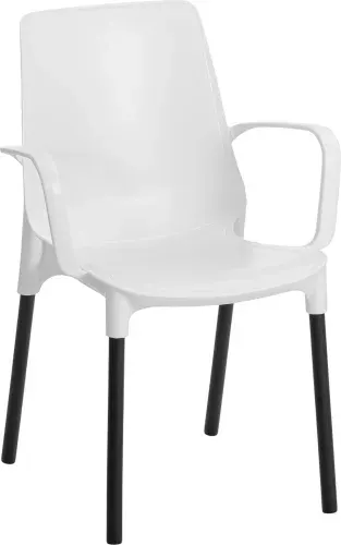 Стул с подлокотниками TetChair Genius с подлокотником (белый/черный)